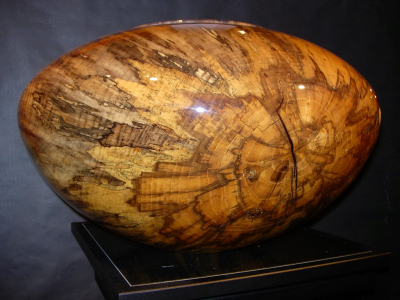 Spalted Palo Blanco